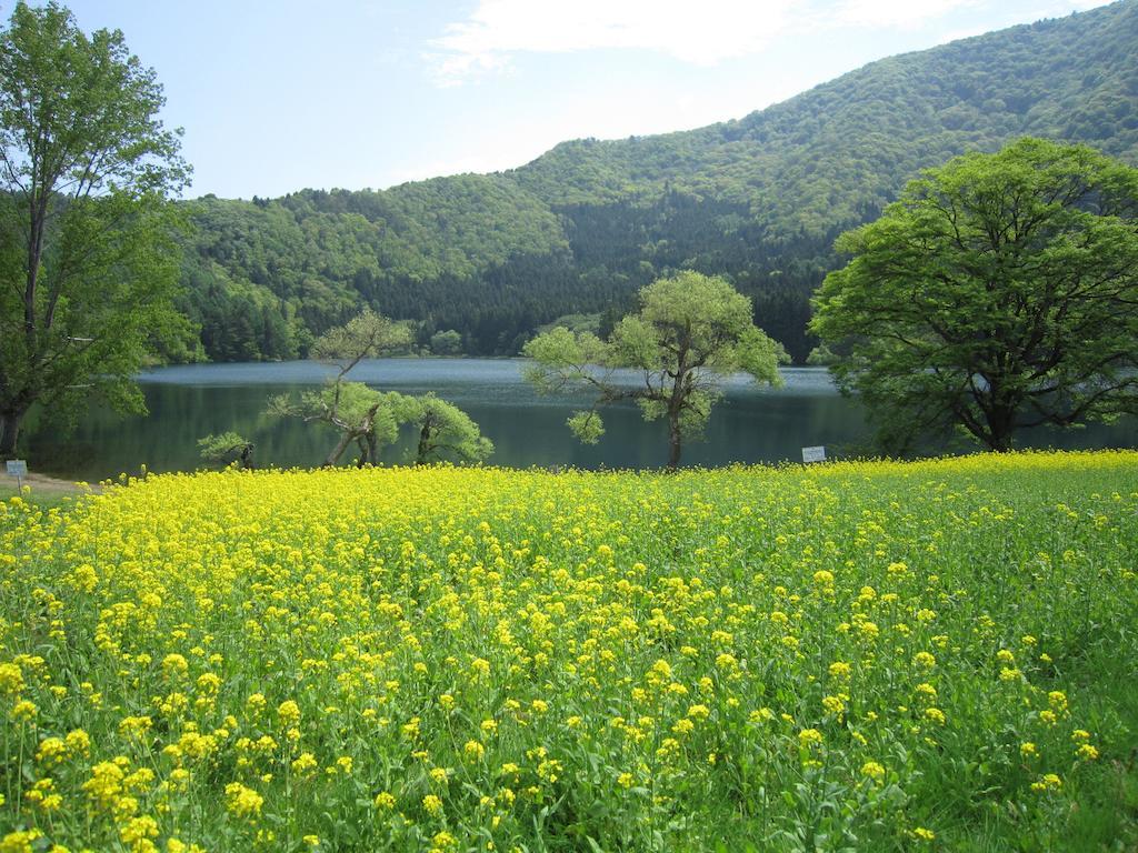 Nozawa Onsen Hotel 外观 照片